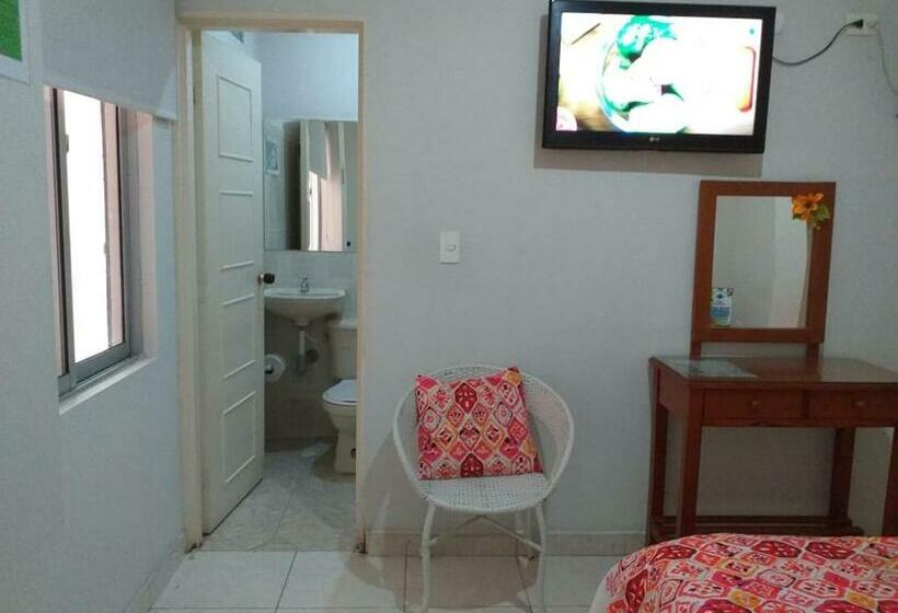 标准间, Orquídea Neiva