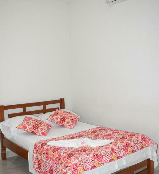 经典单人间, Orquídea Neiva