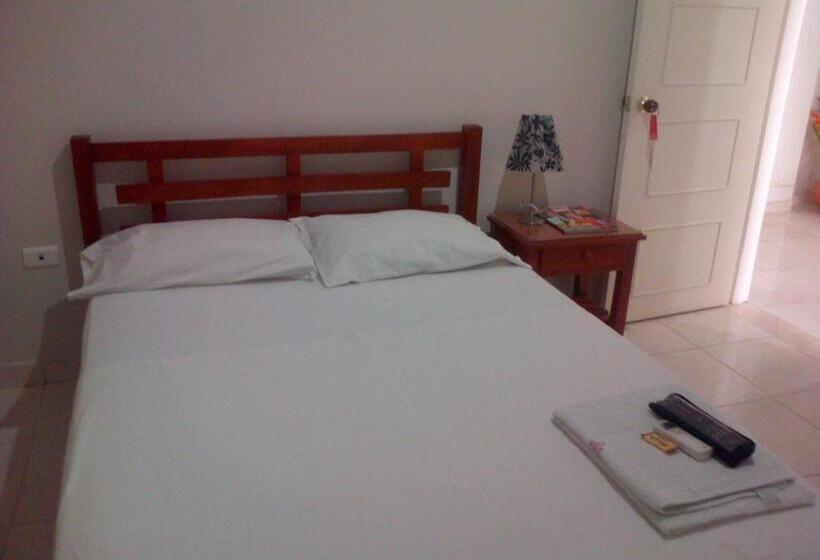 经典单人间, Orquídea Neiva