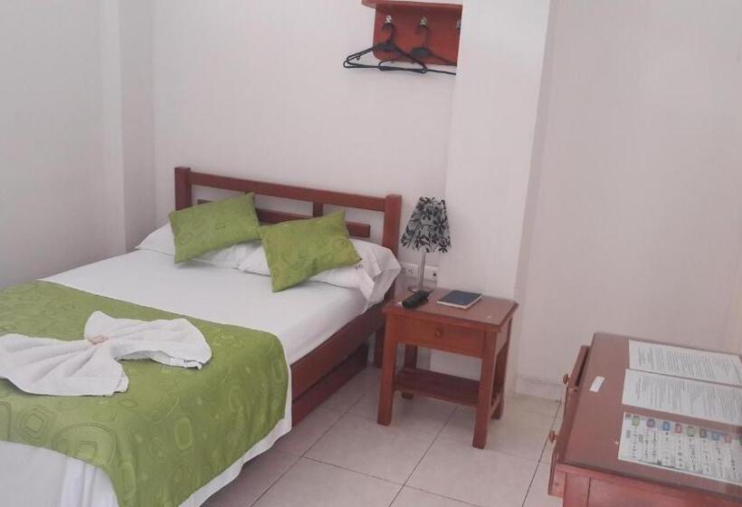 经典单人间, Orquídea Neiva