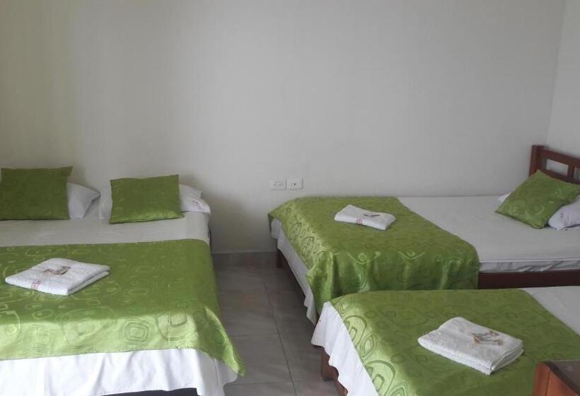 四人标准间, Orquídea Neiva