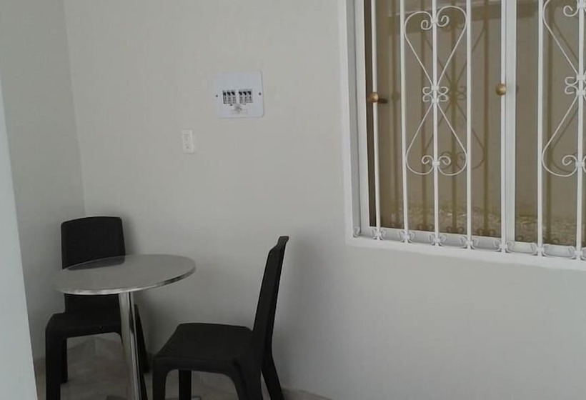 标准间, Orquídea Neiva