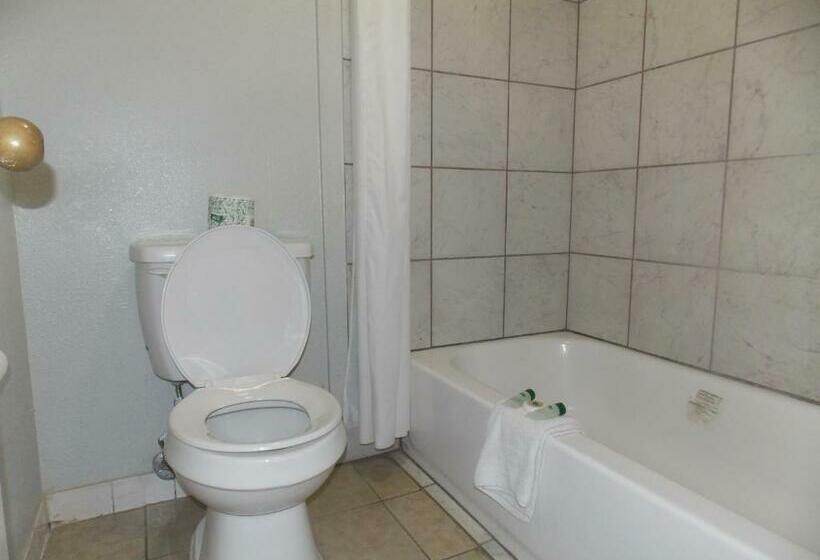 غرفة قياسية سرير كينج, Augusta Best Inn