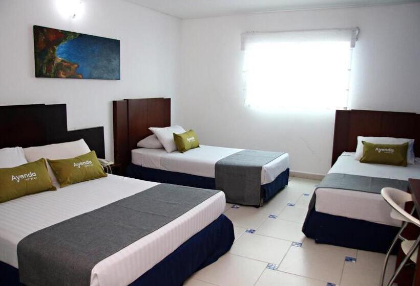 חדר סטנדרט לארבעה, Ayenda 1801 El Oceano