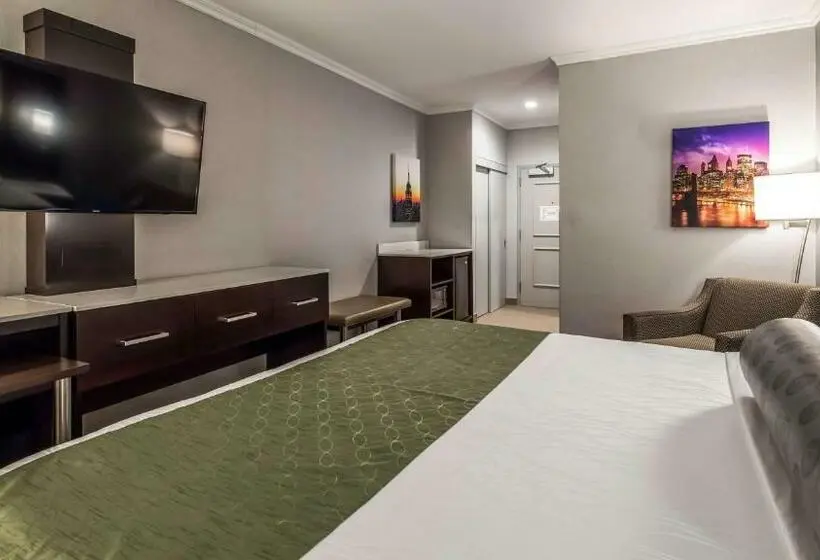 Standard-huone King-vuode, Best Western Premier Nyc Gateway