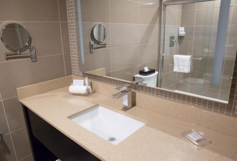 스탠다드 룸 킹사이즈 침대, Best Western Premier Nyc Gateway