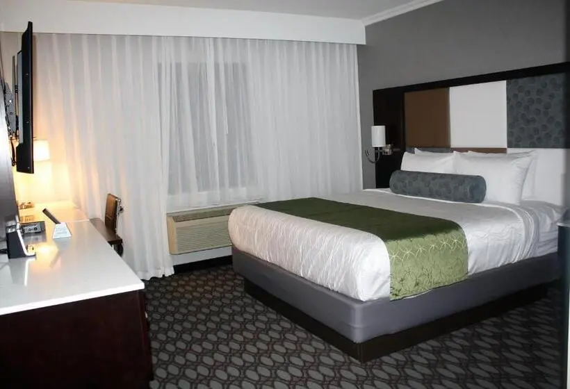 Sviitti King-vuode, Best Western Premier Nyc Gateway
