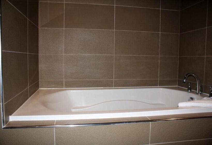 جناح سرير كينج, Best Western Premier Nyc Gateway