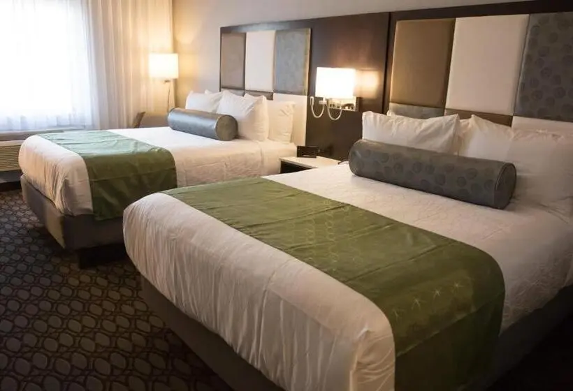 Standard-invahuone, Best Western Premier Nyc Gateway