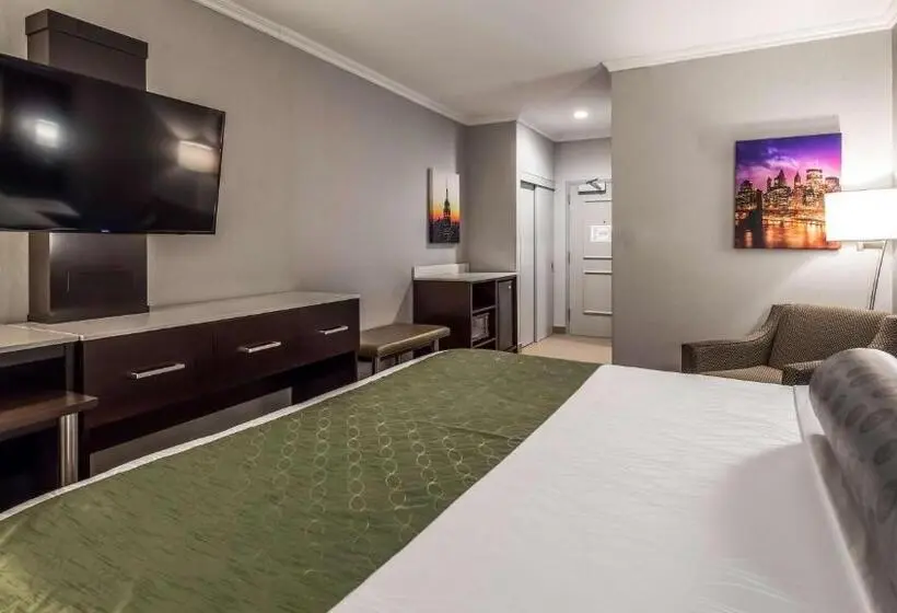 Sviitti Liikuntarajoitteisille, Best Western Premier Nyc Gateway