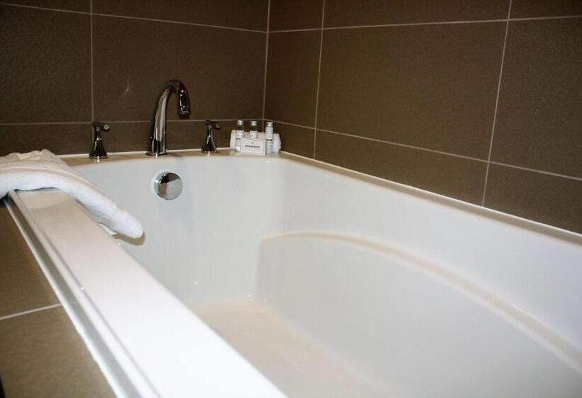 جناح سرير كينج, Best Western Premier Nyc Gateway