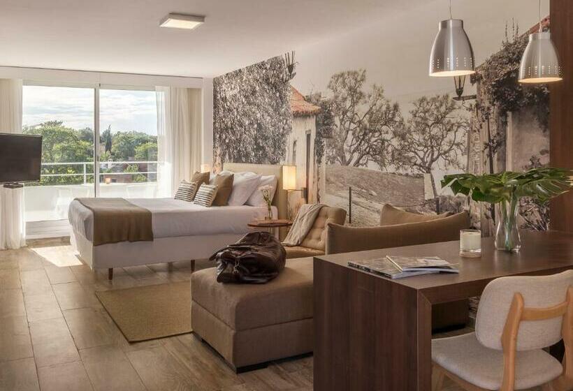 اتاق کلاسیک با تخت دونفره, Dazzler By Wyndham Colonia