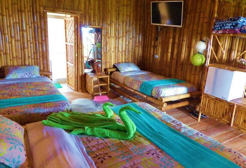 スタンダード４人部屋, Finca El Cielo