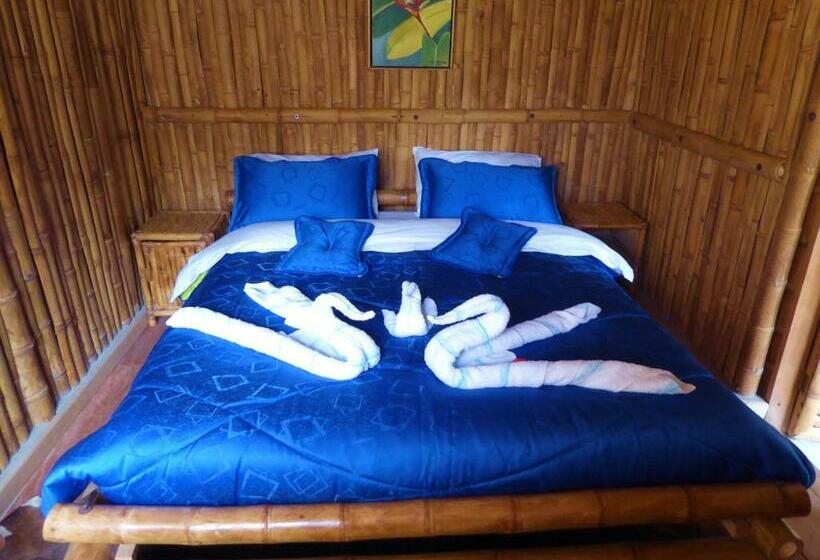 スタンダードルーム, Finca El Cielo