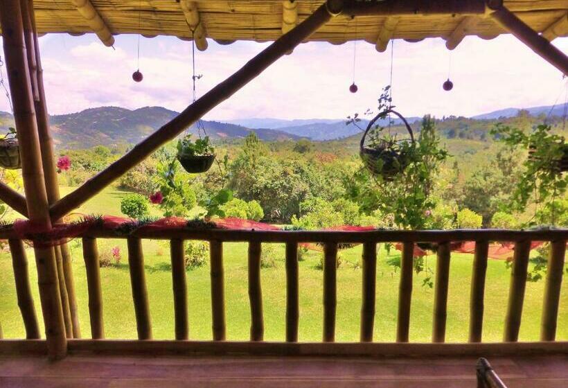 スタンダード４人部屋, Finca El Cielo