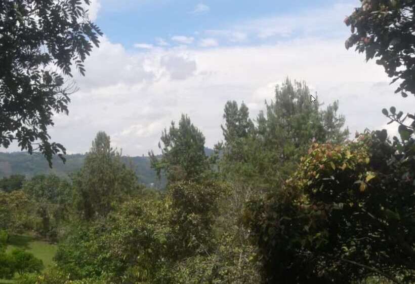 スタンダードルーム, Finca El Cielo