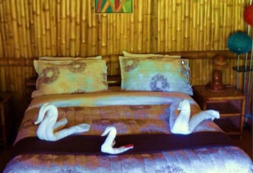 スタンダードルーム, Finca El Cielo