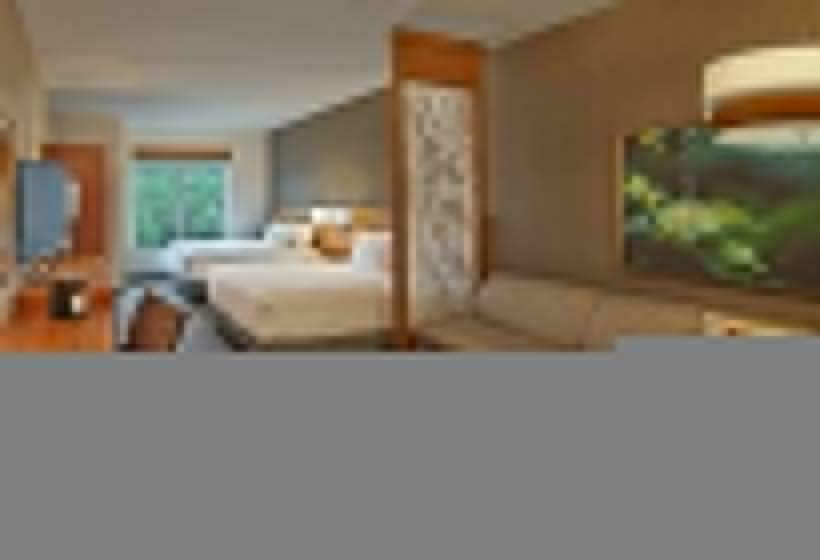 غرفة قياسية سرير كينج لذوى الإحتياجات الخاصة, Hyatt Place Chapel Hill