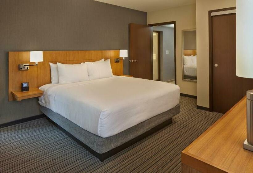 غرفة قياسية سرير كينج لذوى الإحتياجات الخاصة, Hyatt Place Chapel Hill