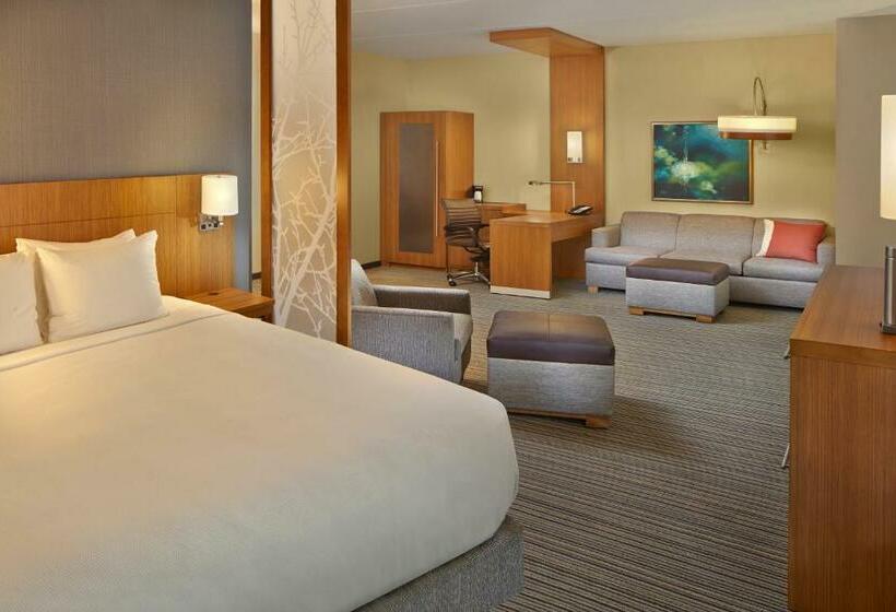Номер Superior Кровать Кинг, Hyatt Place Chapel Hill