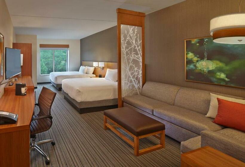 غرفة قياسية سرير كينج لذوى الإحتياجات الخاصة, Hyatt Place Chapel Hill