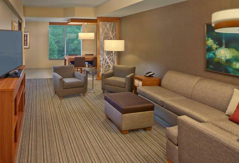 جناح سرير كينج, Hyatt Place Chapel Hill