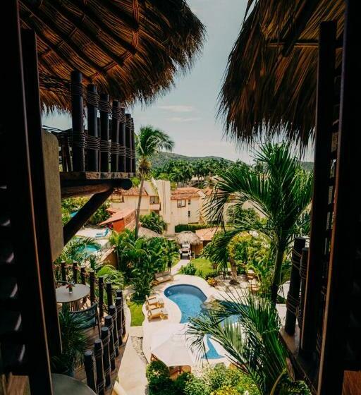 سوییت جونیور, La Villa Luz