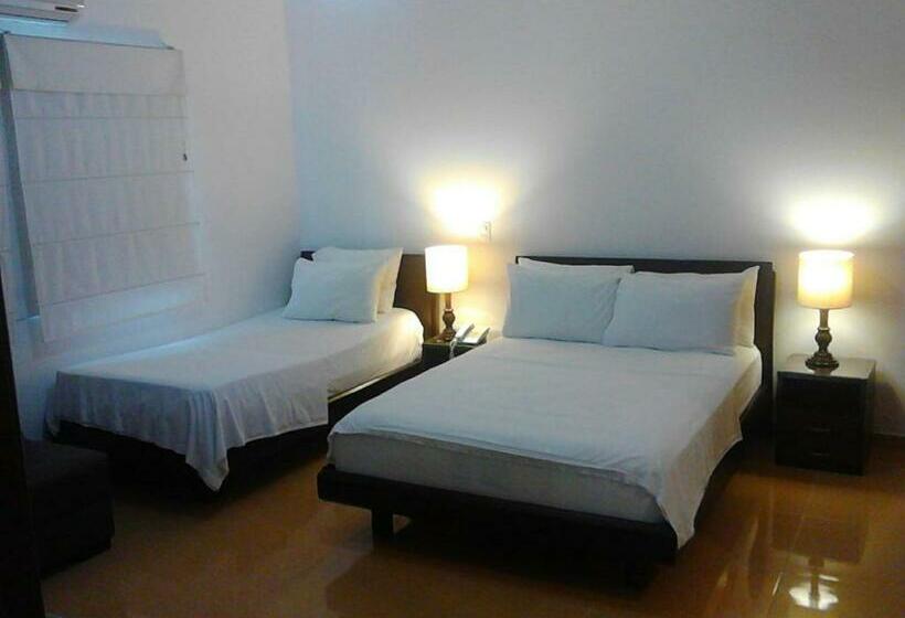 חדר סטנדרט, Palonegro