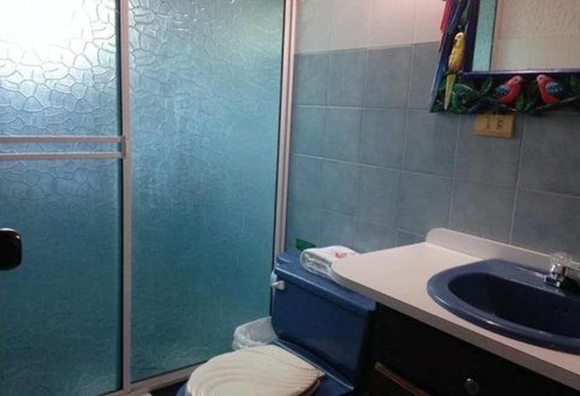 标准三人间, Y Centro De Buceo Sirius