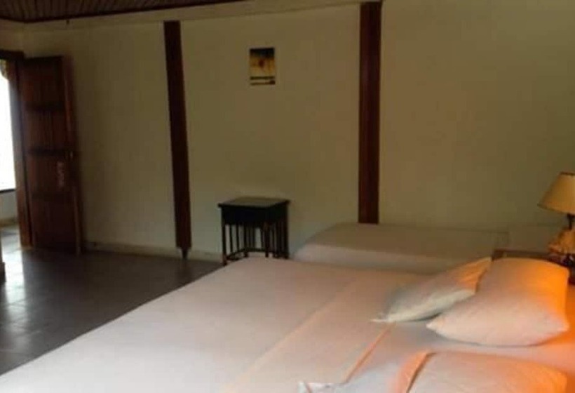 标准三人间, Y Centro De Buceo Sirius