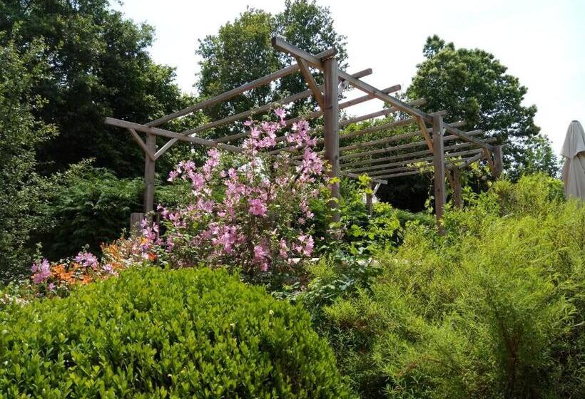 غرفة قياسية, La Maison Du Marchand