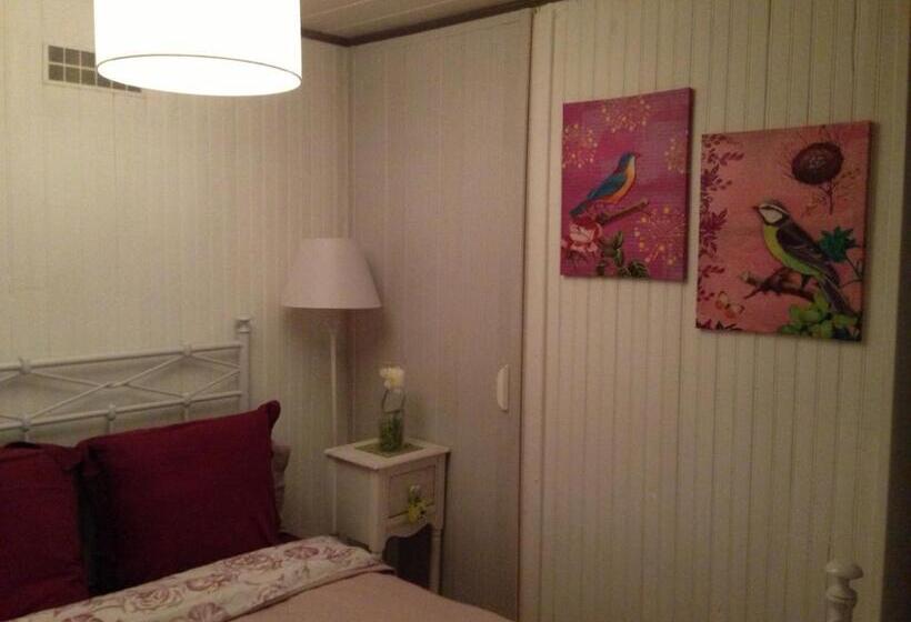 스탠다드 스튜디오 풀장 전망, Le Lavoir