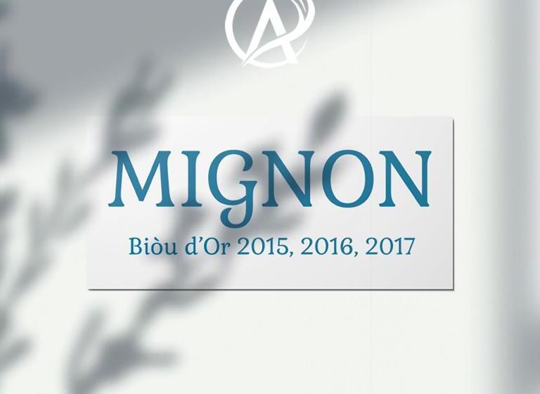 带1个卧室的带阳台的公寓, Auberge Des Plaines Appart Hôtel