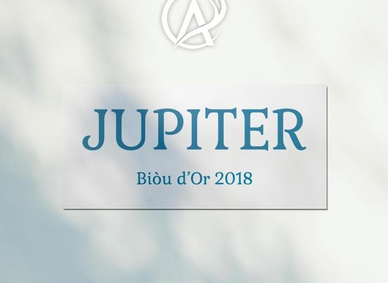 带1个卧室的带阳台的公寓, Auberge Des Plaines Appart Hôtel