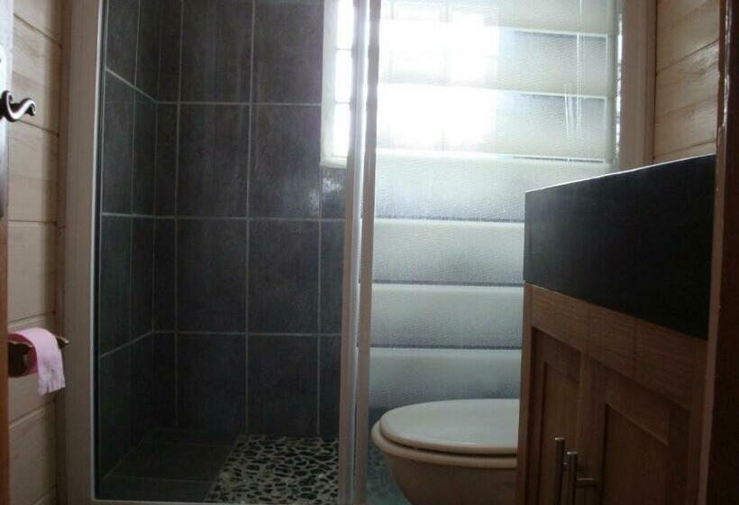 Номер Стандарт, Chambres D Hôtes Chalet De La Source