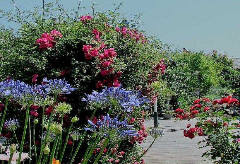 חדר סטנדרט, Chambres De Condate