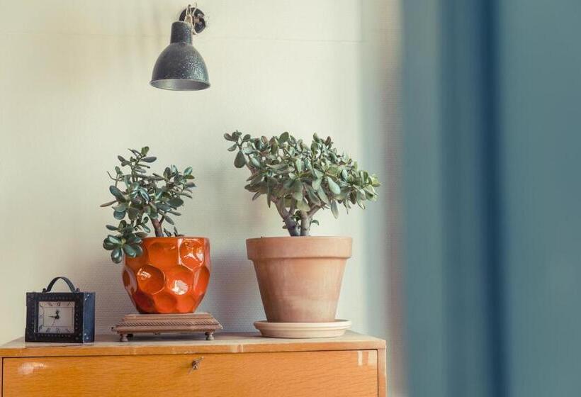 ベーシックルーム, La Gare De Millas Chambres D'hôtes