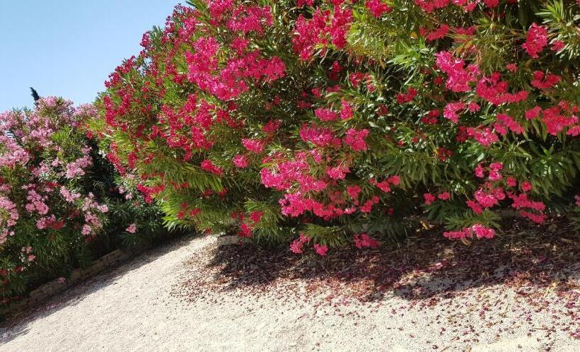 غرفة قياسية رباعية, La Pastorale