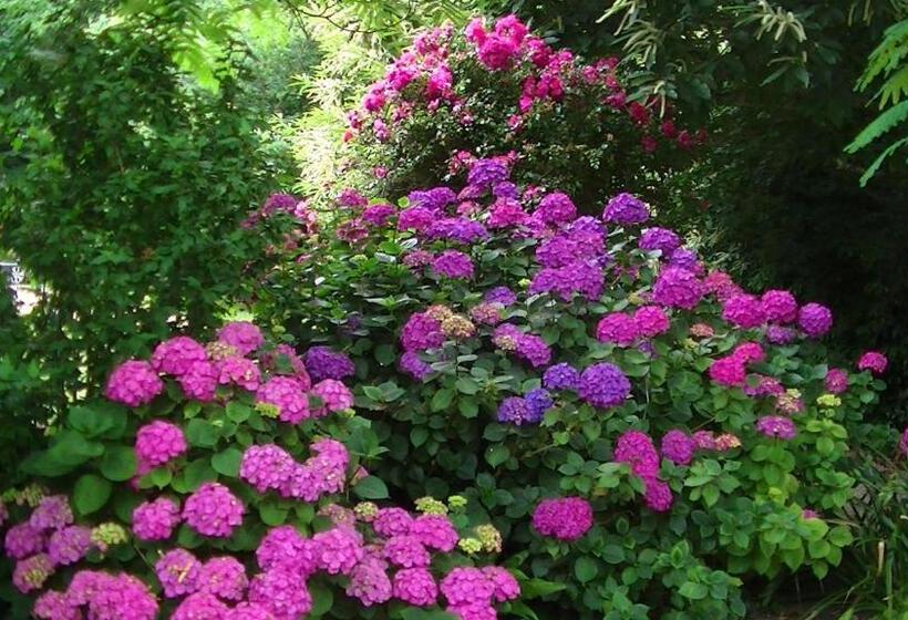 חדר סטנדרט נוף לפארק, Le Petit Manoir De Kériolet