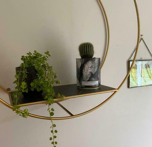 غرفة قياسية, Le Temps Des Hôtes