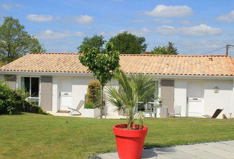 غرفة قياسية, Le Temps Des Hôtes