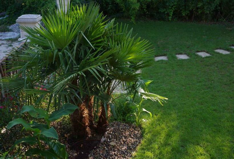 غرفة كلاسيكية فردية, Le Robinson