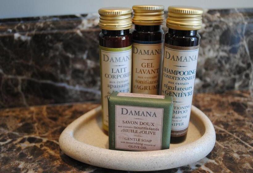 غرفة قياسية, Hôtel Restaurant Spa Le Sauvage