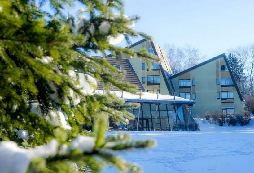 غرفة قياسية, Vtf Le Domaine Des Puys