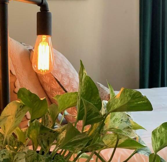 高级大房间, Le 14 St Michel