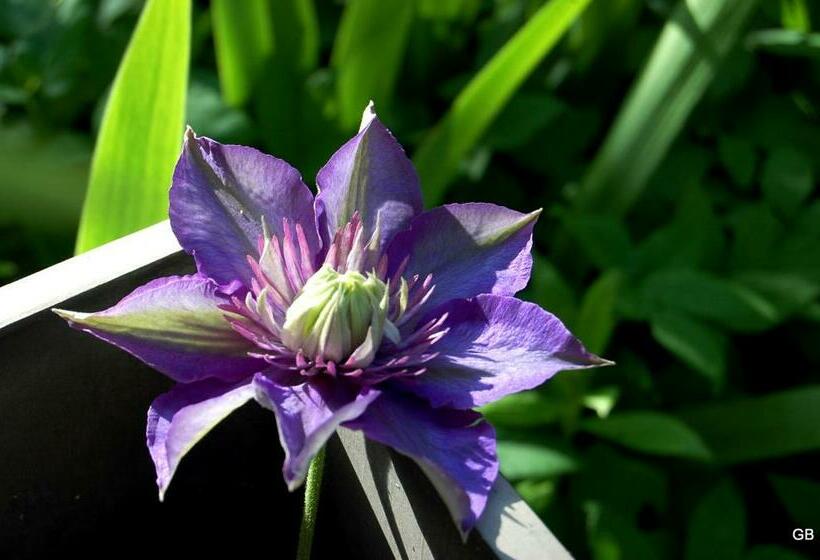 Pokój Superior, Le Mas Des Clots