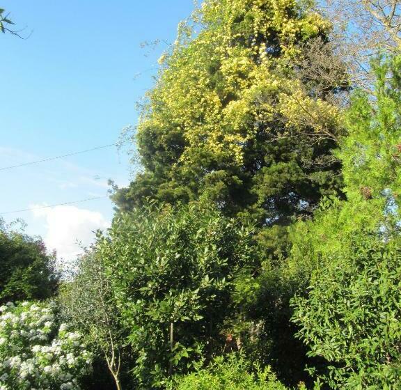 Pokój Superior, Le Mas Des Clots