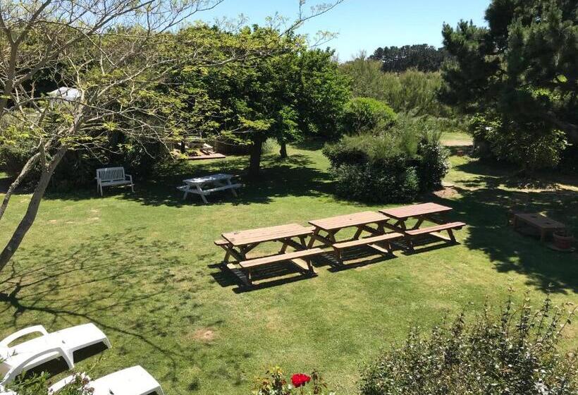 غرفة قياسية مطلّة علي الحديقة, Aux Tamaris