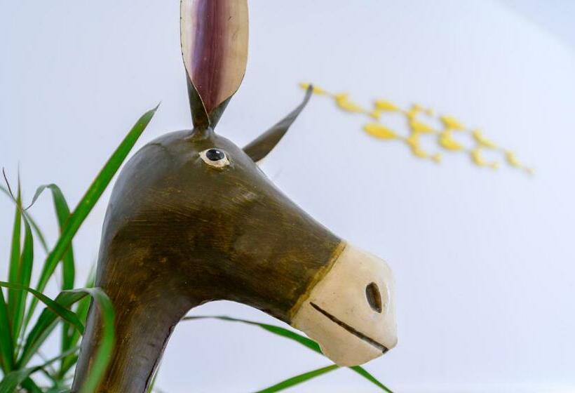 جناح, Hôtel La Jetée