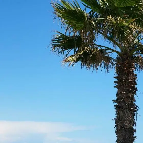 Standard-huone Parivuode Merinäkymä, Hôtel La Plage